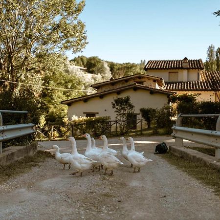 Agriturismo Le Radici Umbertide Buitenkant foto
