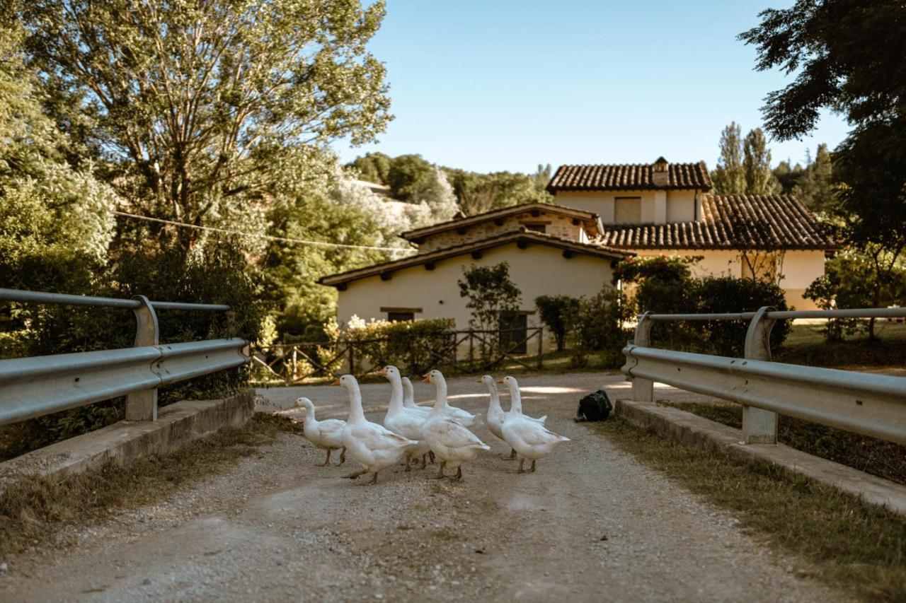 Agriturismo Le Radici Umbertide Buitenkant foto