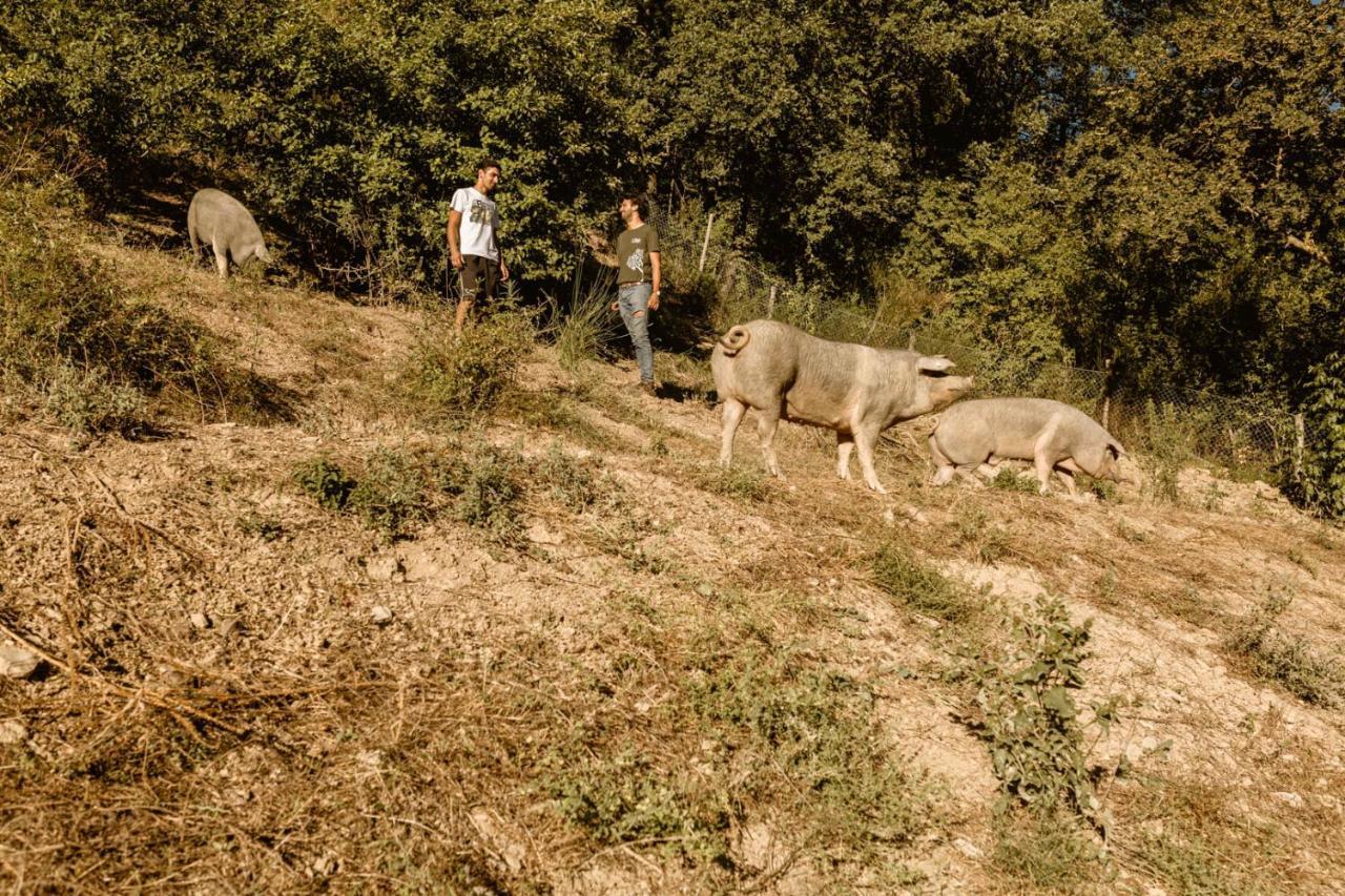 Agriturismo Le Radici Umbertide Buitenkant foto